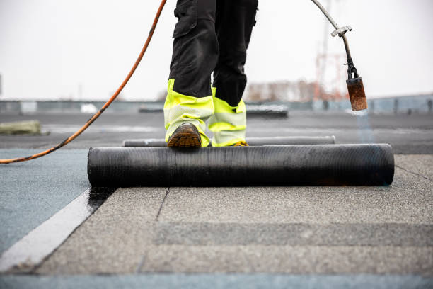 Best Roofing for New Construction  in Quinebaug, CT